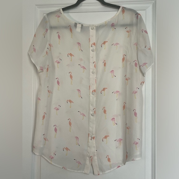 EUC Torrid Sheer Flamingo Top (0X) - Picture 2 of 3